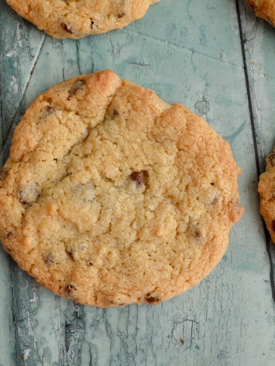 Cinnamon Choc Chip Cookies (Gluten Free, Dairy Free)